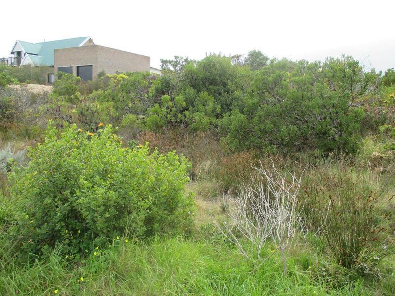 0 Bedroom Property for Sale in Dana Bay Western Cape